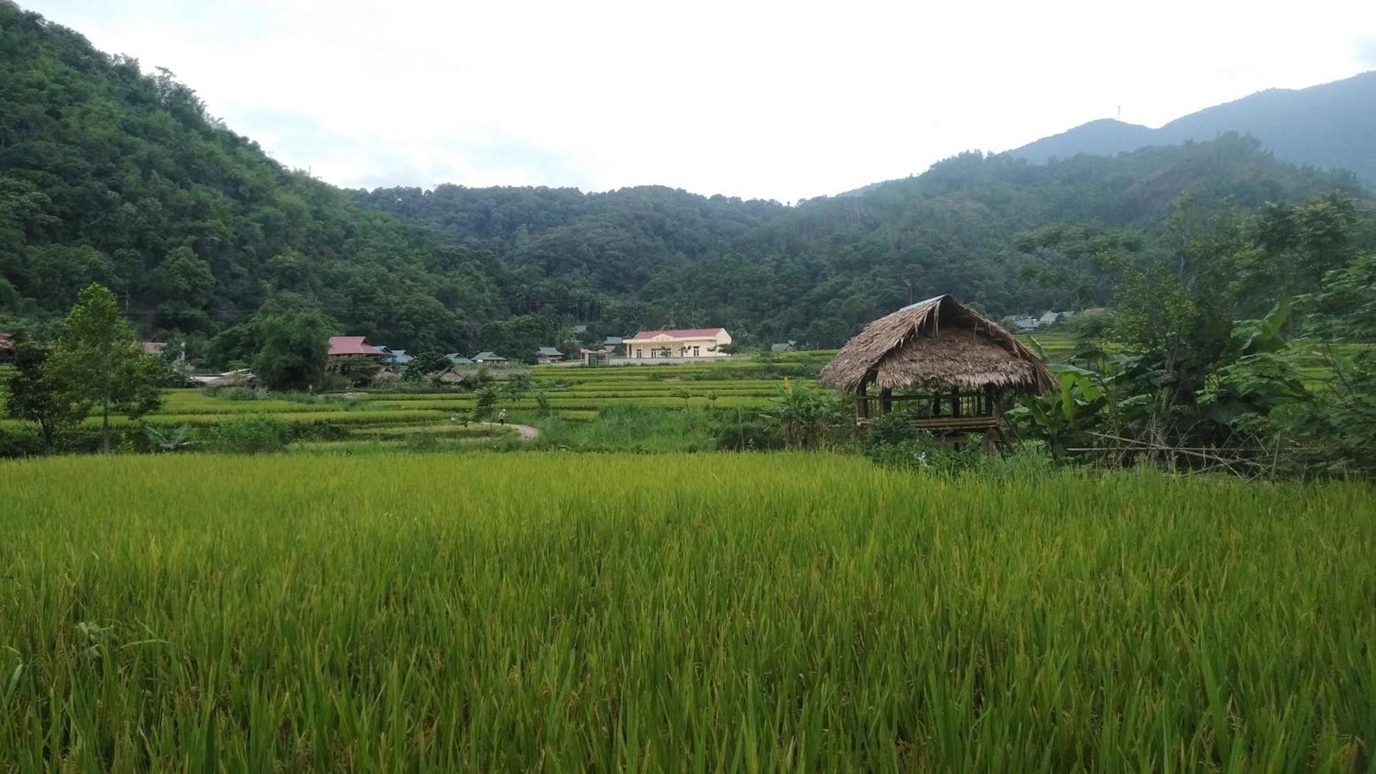 Huong Ba Thuoc Puluong Aroma B&B 외부 사진